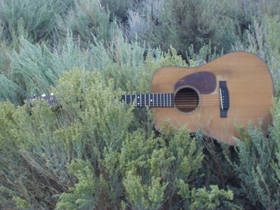 my 1946 Martin D18 resting in the sage