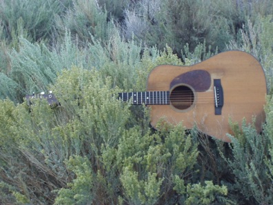 my 1946 Martin D18 resting in the sage