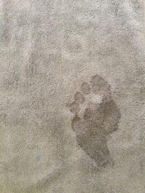 Jim's footprint